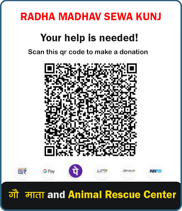 Donation QR