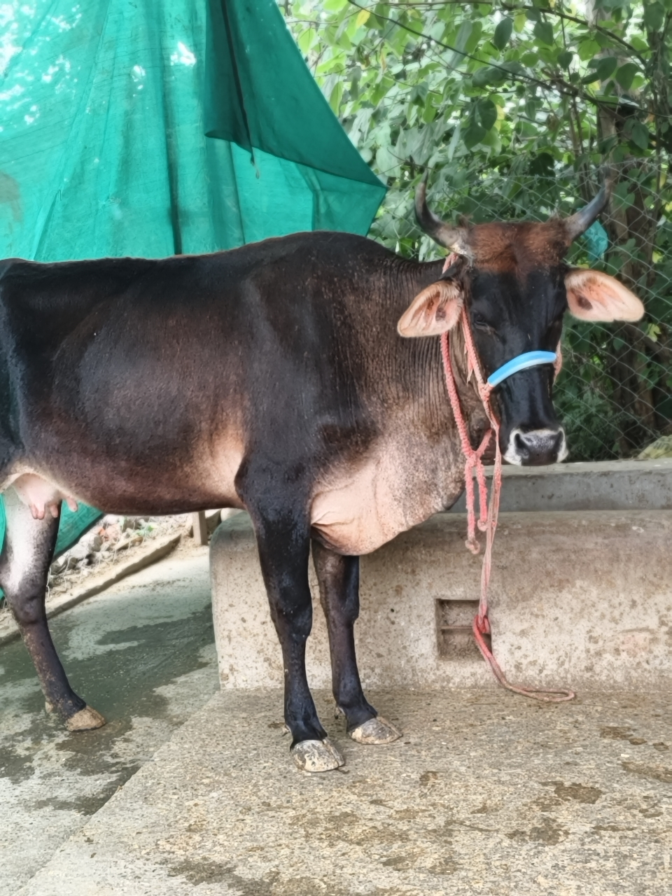 RMSK gallery 9