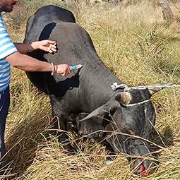 Radha Madhav Sewa Kunj