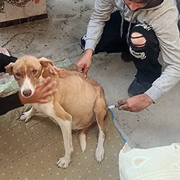 Radha Madhav Sewa Kunj