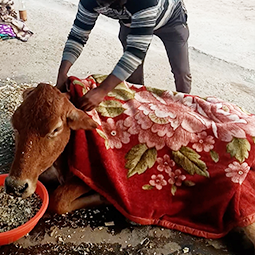 Radha Madhav Sewa Kunj