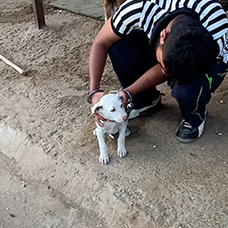 Radha Madhav Sewa Kunj