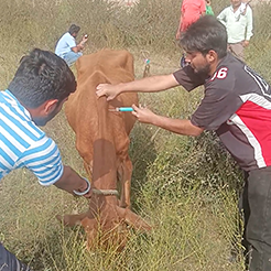 Radha Madhav Sewa Kunj