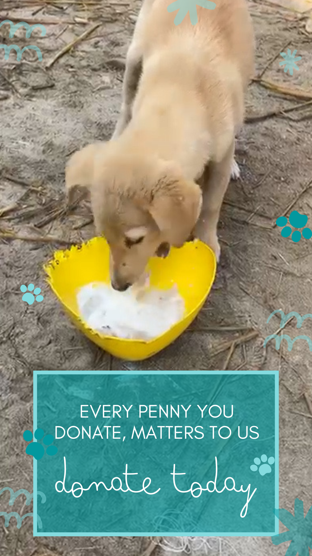 Radha Madhav Sewa Kunj (+91 93175-50543)