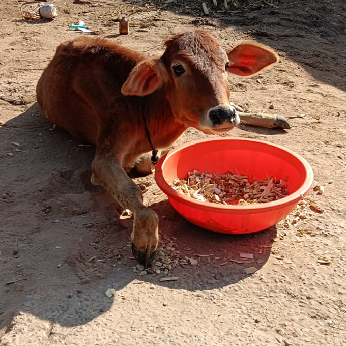 Radha Madhav Sewa Kunj