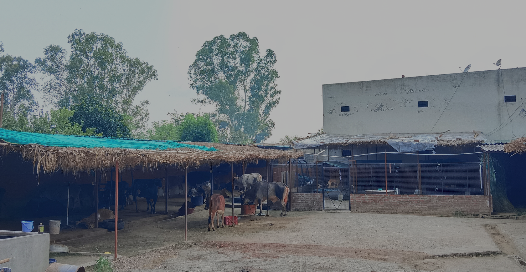 Radha Madhav Sewa Kunj