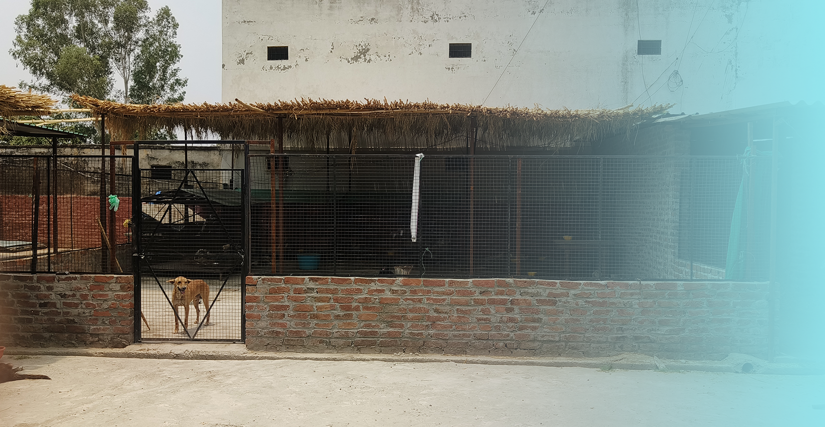 Radha Madhav Sewa Kunj