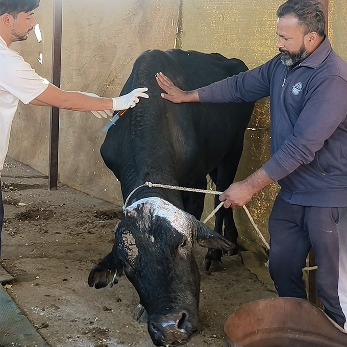 Radha Madhav Sewa Kunj