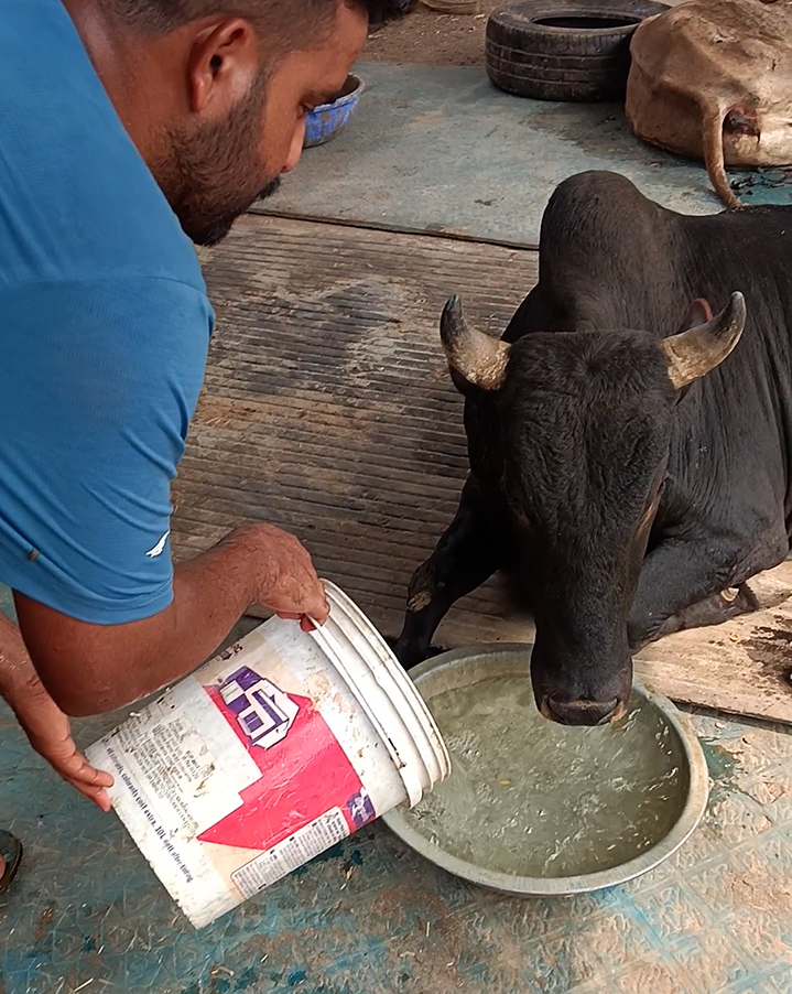 Radha Madhav Sewa Kunj